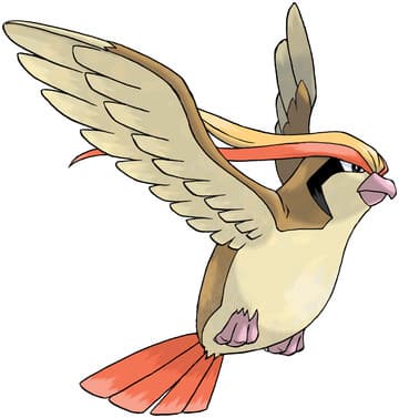 Pidgeot