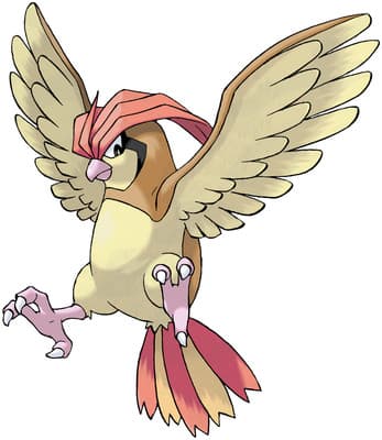 Pidgeotto